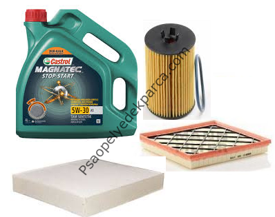 Opel İnsignia A Periyodik Bakım Seti (CASTROL 5W30 Yağlı) Bujisiz