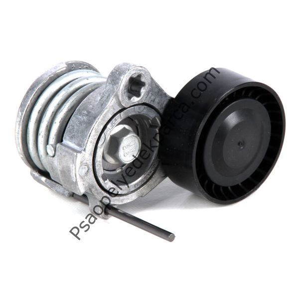 Chevrolet Captiva C100 V Kayış Gergi Kütüğü Z20S Motor 2007-2011 Arası Gates T39239