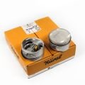 Opel Vectra B X16XE Motor Piston Segman 050 79.00 MM Goetze Nural 877168305000