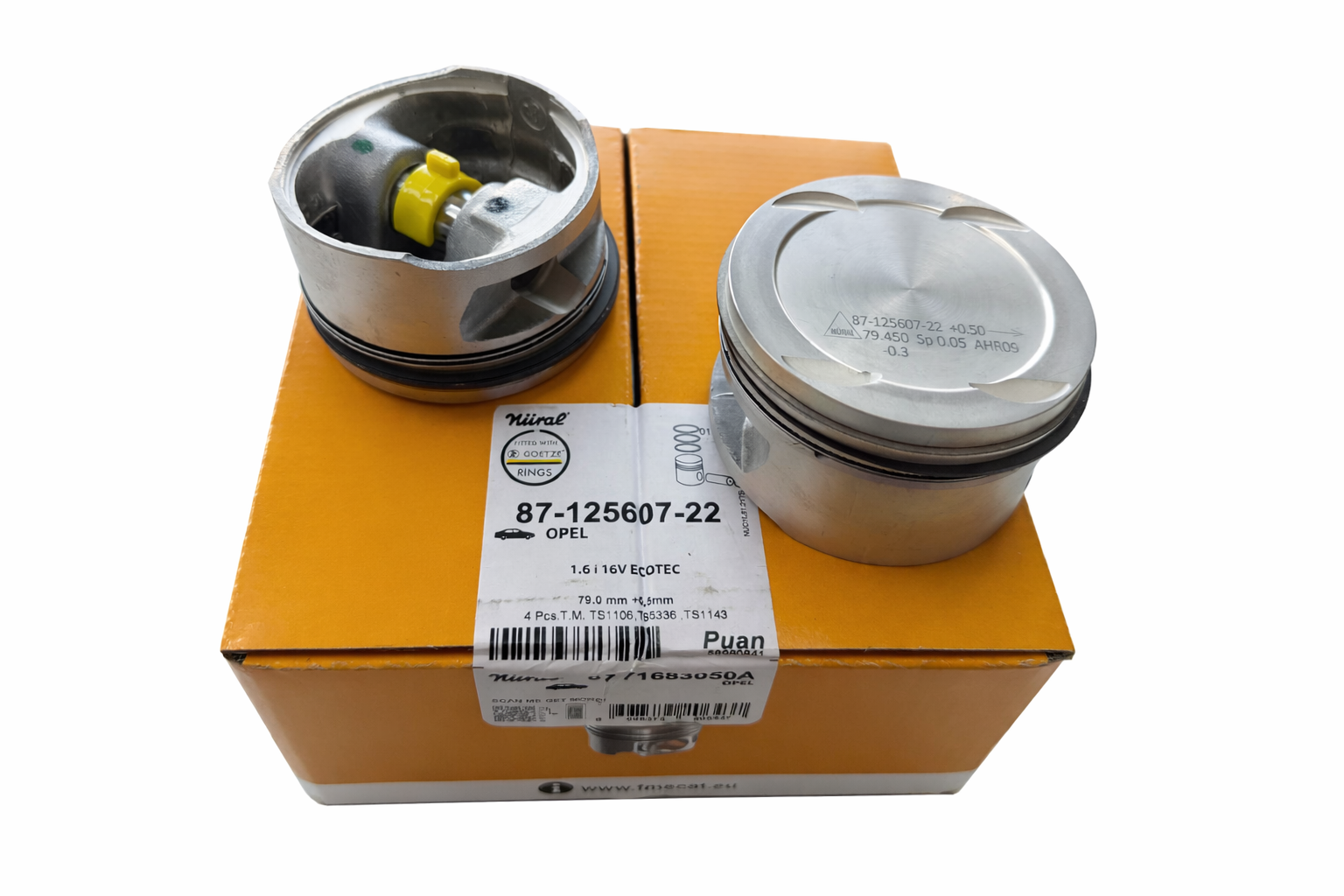 Opel Vectra B X16XE Motor Piston Segman 050 79.00 MM Goetze Nural 877168305000