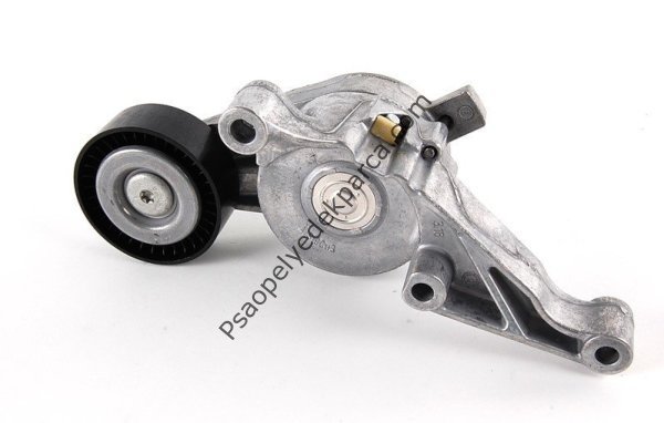 Volkswagen Golf 5 2004 - 2009 1.9TDI BXE Şarz Gergisi Komple