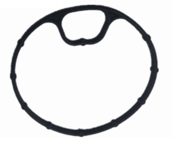 Opel  Astra G   Yağ Filitre Gövdesi Contası (Oring) 1.8 Motorlar